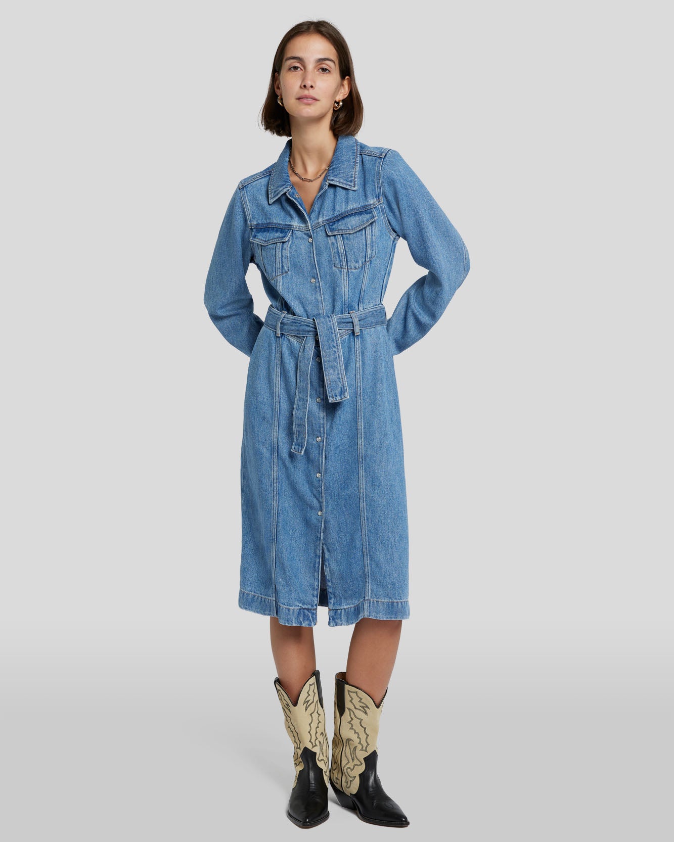 Denim Lustre Dress in Valentine