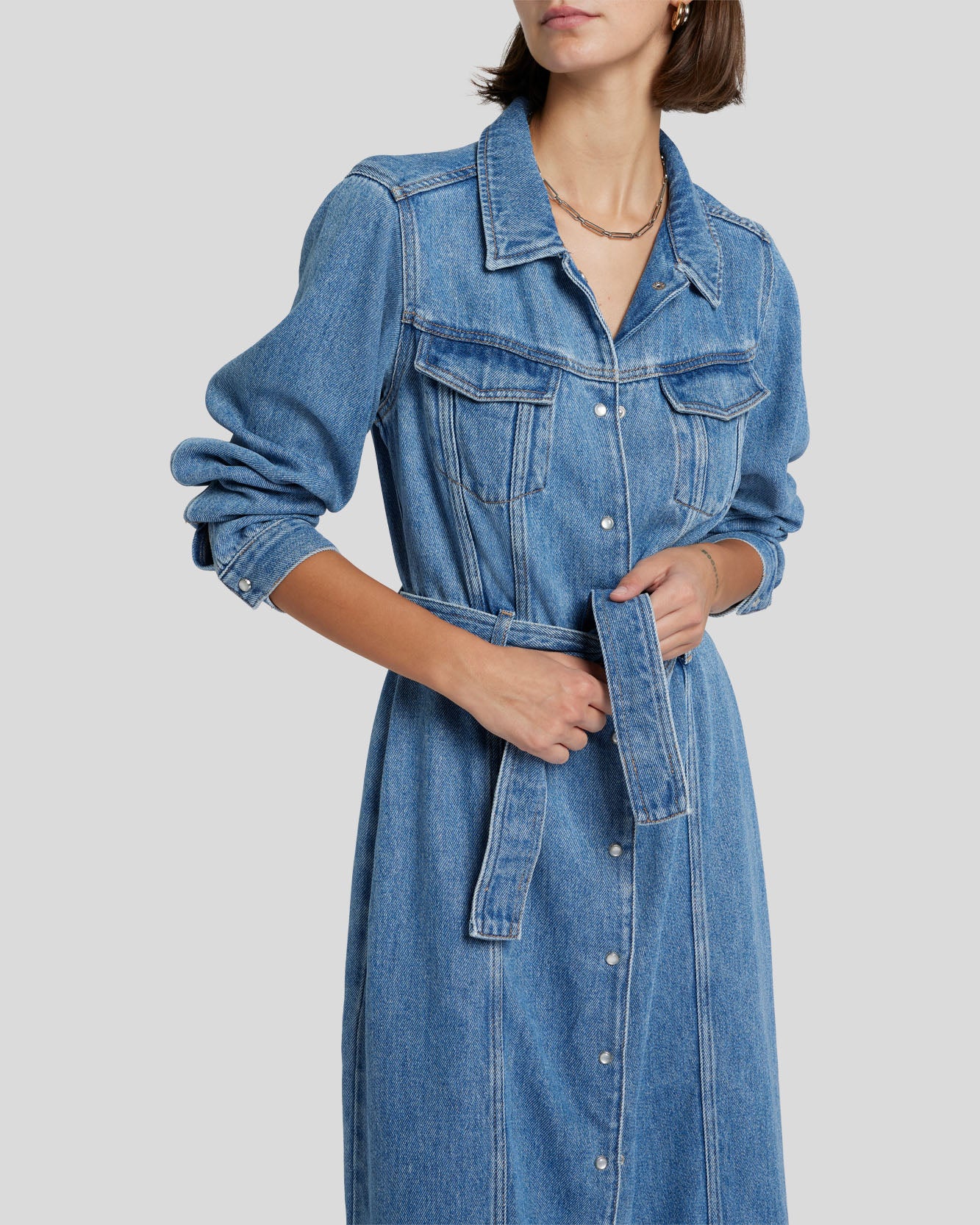 Denim Lustre Dress in Valentine
