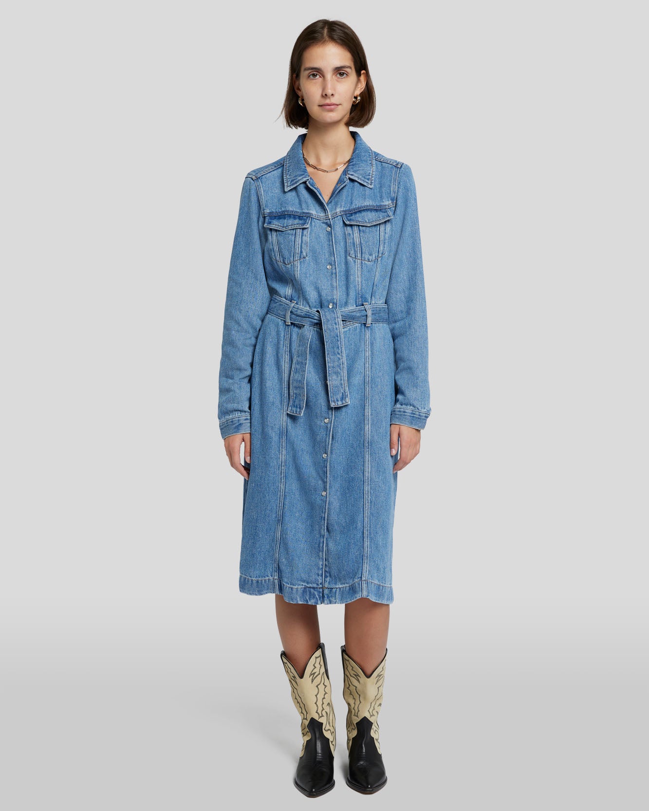 Denim Lustre Dress in Valentine