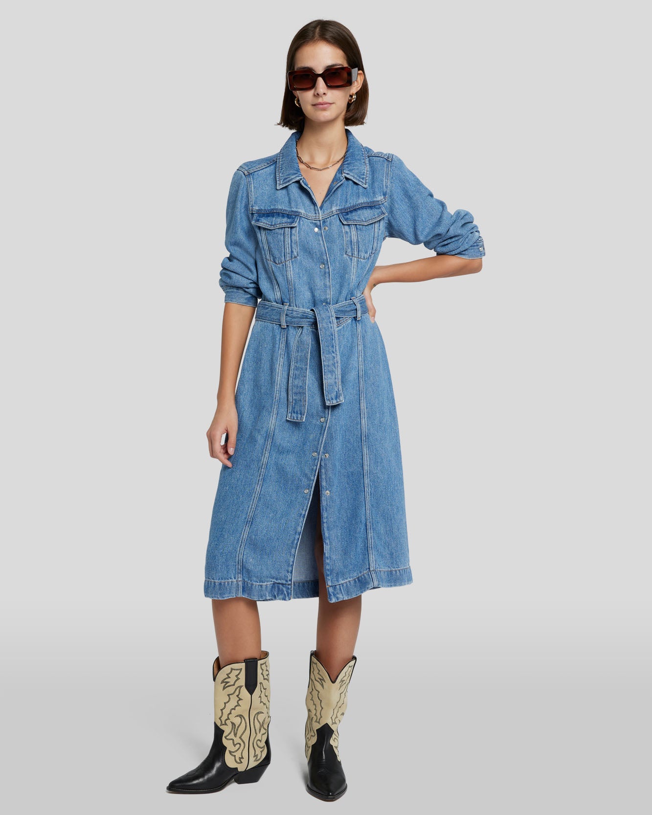 Denim Lustre Dress in Valentine